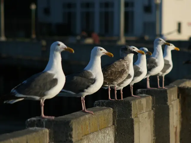 Demolition Delay: Berlin's Worst Ruins Destruction Halts Once More (Revised)