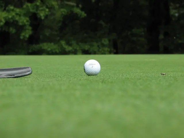 Guidelines for nurturing and maintaining kohlrabi plants