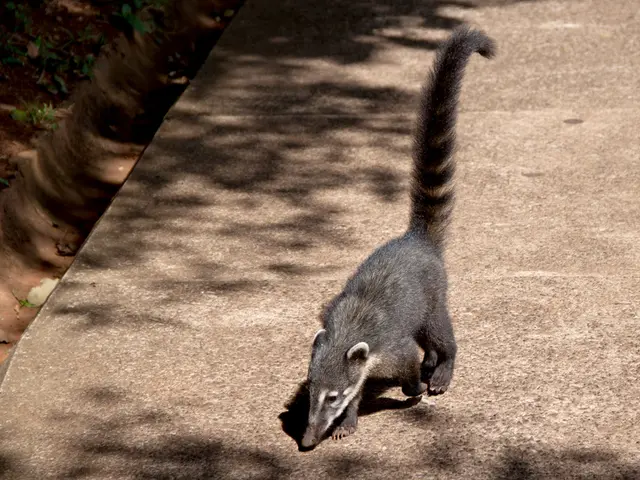 Indoor greenery's impact on stress reduction explored
