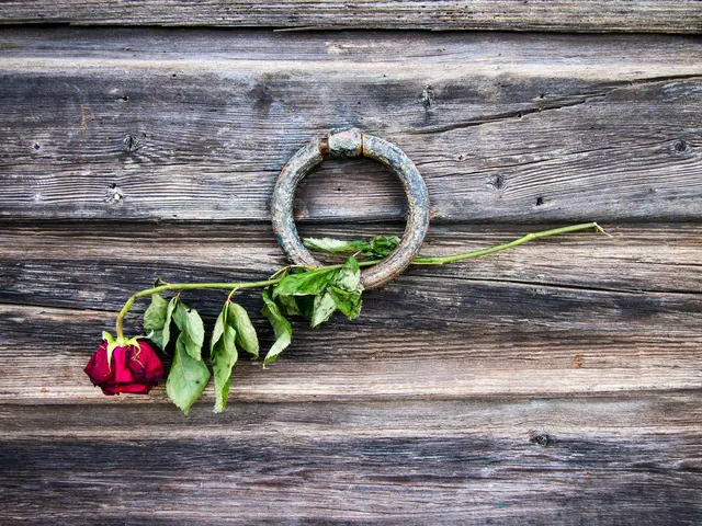 Transform Your Creations: Creative Applications of Rose Gold Spray Paint in DIY Projects