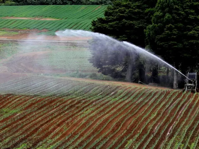 Avoiding Failure in Irrigation System Maintenance: Best Practices