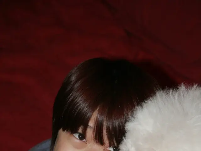 Simplifying Pet Care: 5 Uncomplicated Methods for Pet Owners