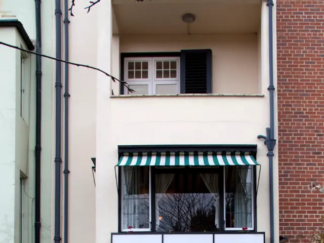 Caring for Spathiphyllum (Peace Lily): A Guide on Nurturing Your Houseplant