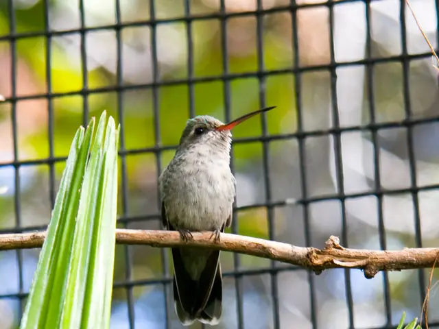 Strategies for a Tick-Free Season