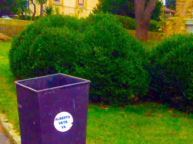 Top indoor plants capable of purifying the air