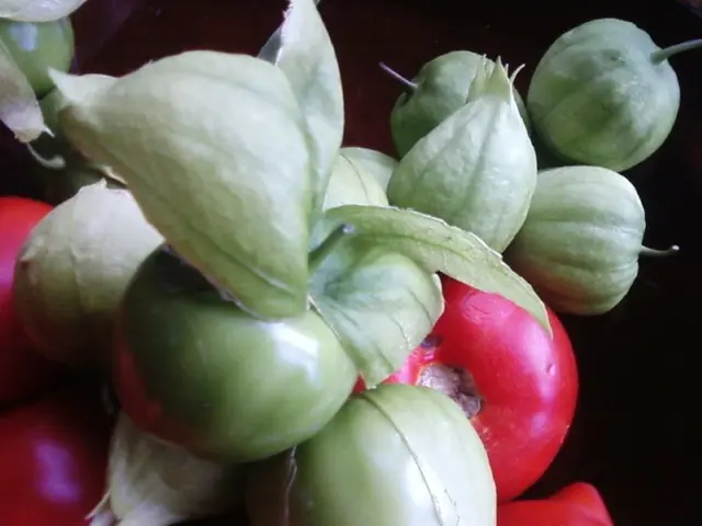 Practices for effective pest control in home vegetable gardens using integrated strategies