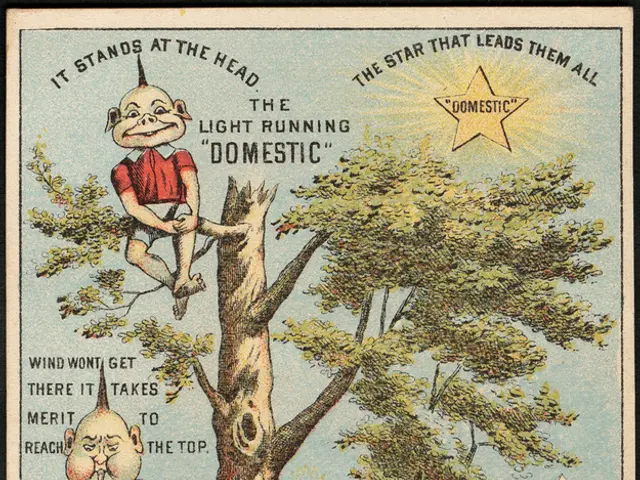 A collection of 24 creative wood fence designs to enhance privacy and boost your outdoor ambiance