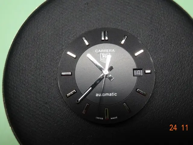 Discussion in Session 32 of Tick Talk Tuesday: Guidance on Developing a Social Movement Strategy