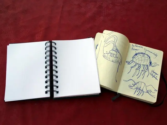 Daily Essentials: Cherry Blossom Edition