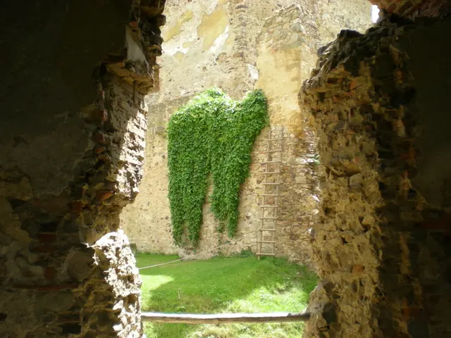 Bonsai Pots' Decorative Stones: Achieving Harmony between Visual Appeal and Design