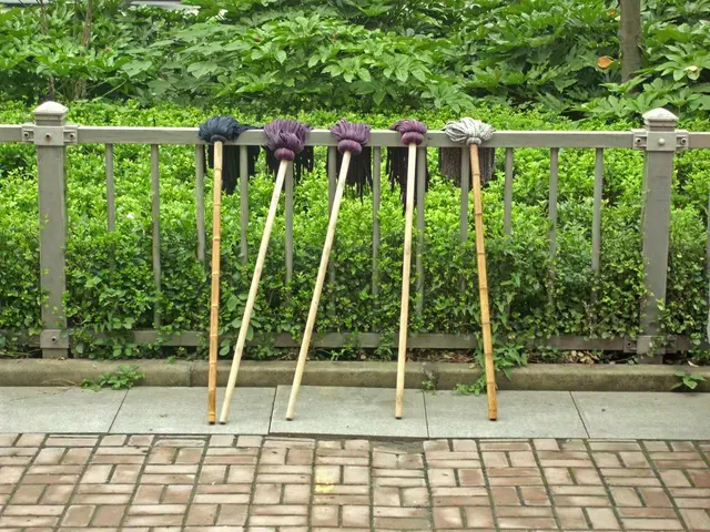 Wupperpark Ost undergoes cleanup operation