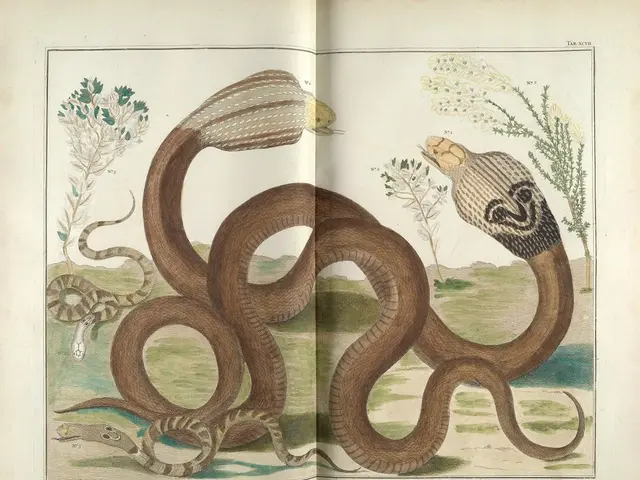 Three Serpent Species That Enhance Your Garden's Health