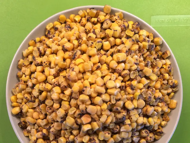 Planting Seeds in June: Guide for Timely Planting