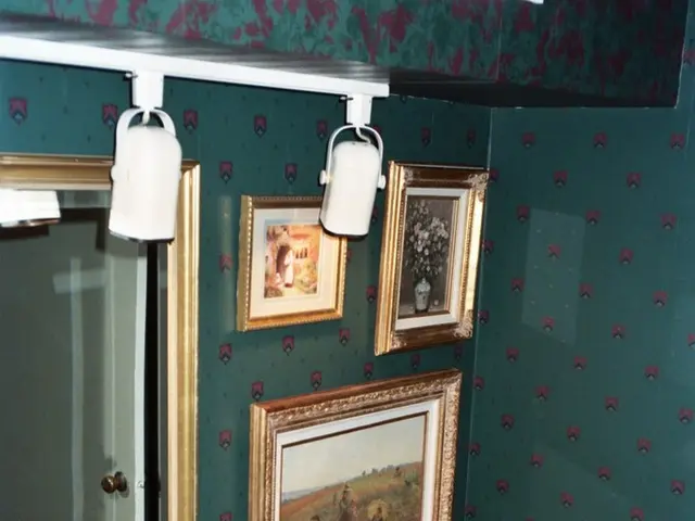 Embracing open-concept bathrooms: A daring idea or a valid design choice for your restroom?