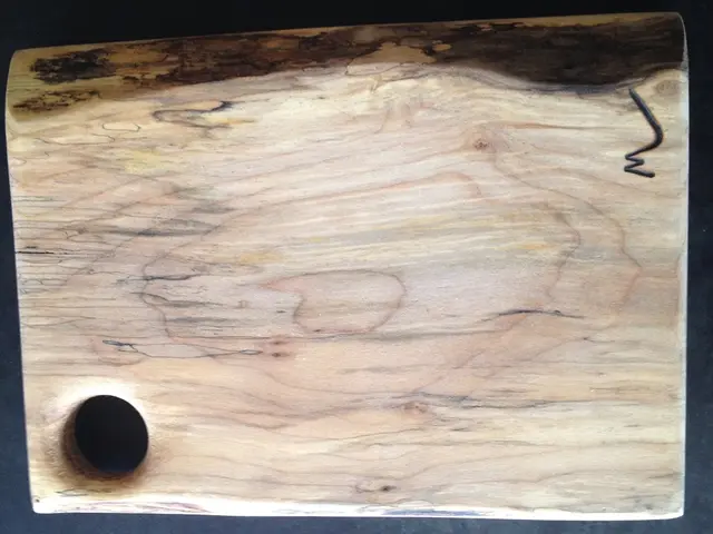 Twenty-four creative wood floor ideas to revolutionize your dwelling's base structure