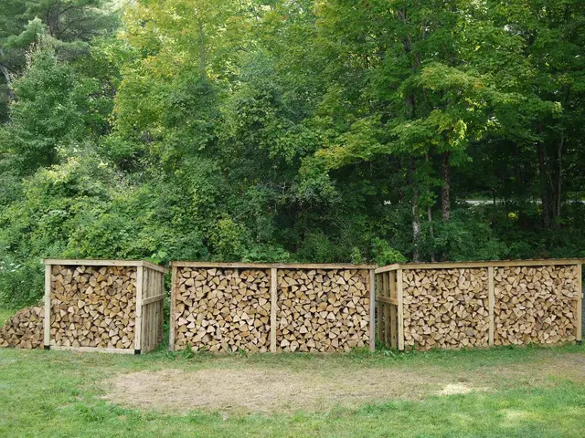 Optimal Timbers for Elevated Flower Beds: Choosing the Appropriate One for Your Horticultural...