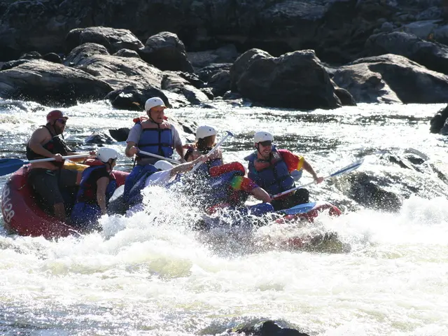 Top-Ranked Goggles for Open Sea Swimming