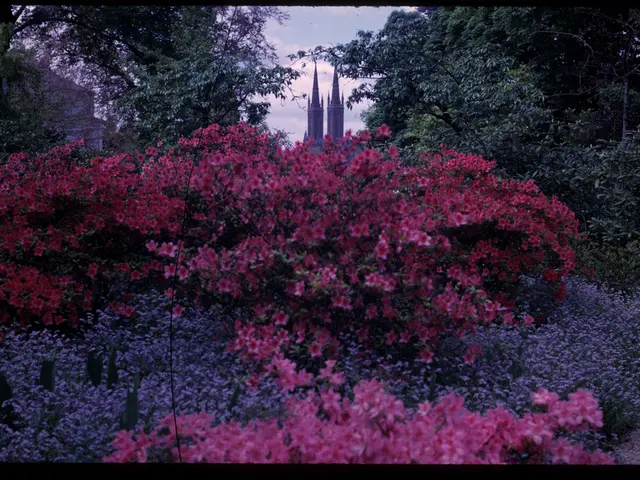 Tree Planting Initiative Promotes Sustainability in the South