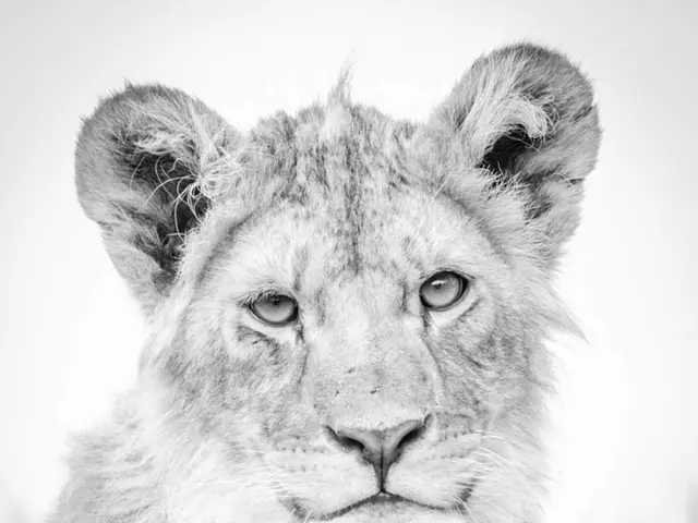 Uncommon Arrivals at the Year-Round Zoo: Newborn Species Thrive in Indoor Habitats