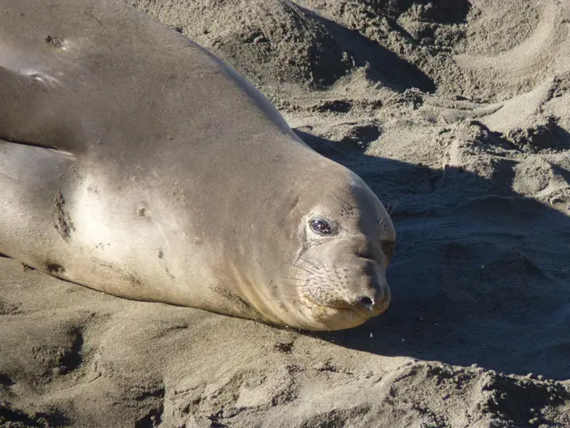 Perfecting Driveway Sealing: Guidelines to Prevent Common Blunders