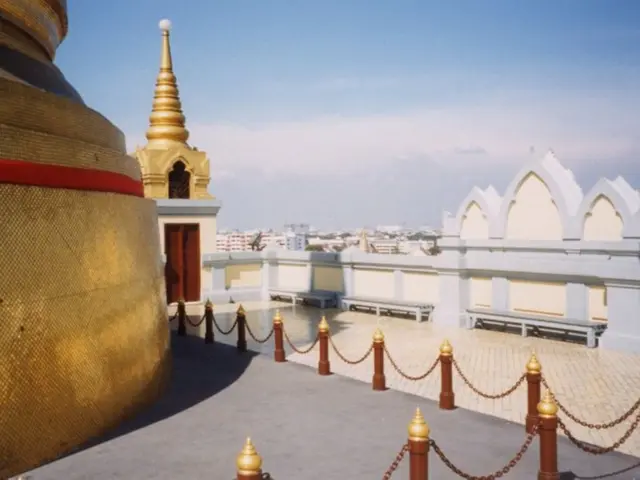 Conserving collections and accessible libraries