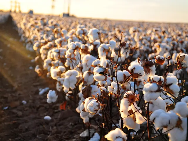 Navigating Difficult Soil: Growing Plants Successfully in Adverse Conditions