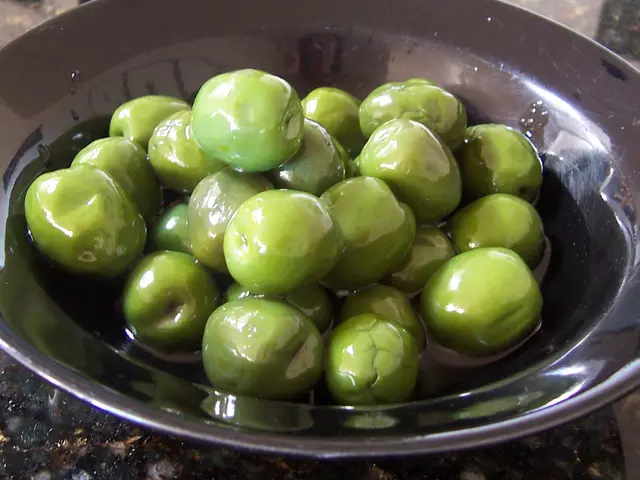 Timeworn Olive Tree in Crete Continues to Yield Fruit After Two Thousand Years' Span