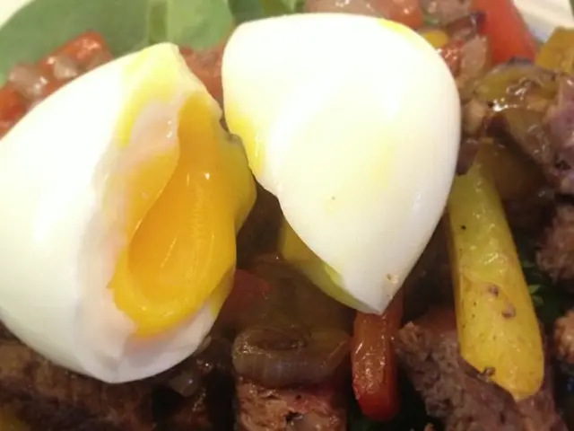 Dog Consumption of Eggs: Insights on Raw, Cooked, and Shells