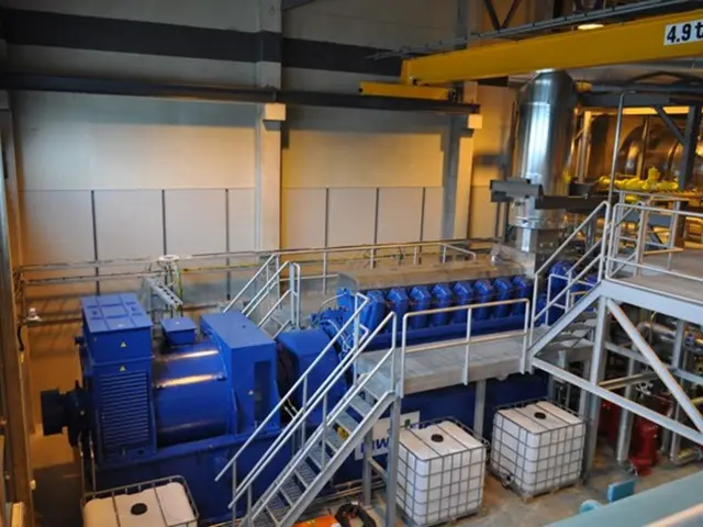 Surging interest in Louis Vuitton's travel cases