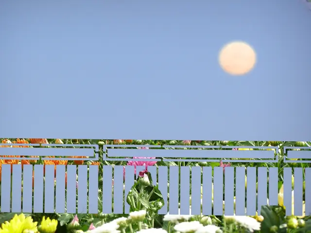 Shimmering Plant Designs for Pots and Borders: Explore 5 Moon Garden Palettes