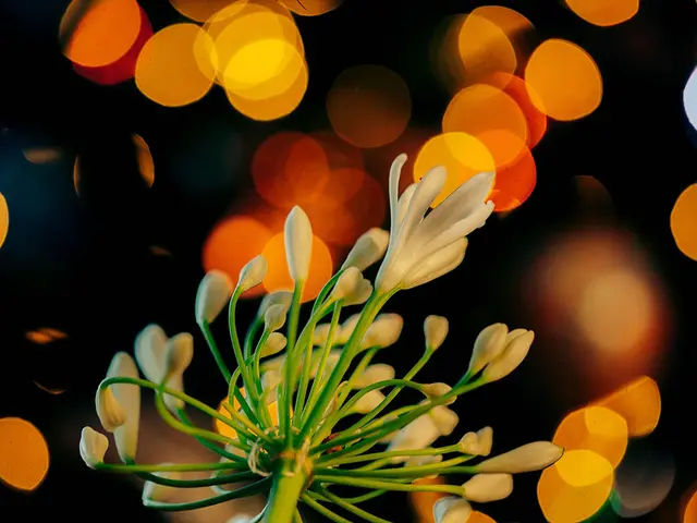 Indirect Bright Light, recognized as the Gold Standard in Tropical Settings