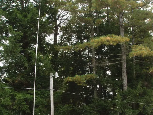 Easy strategies to boost your caravan's safety and security