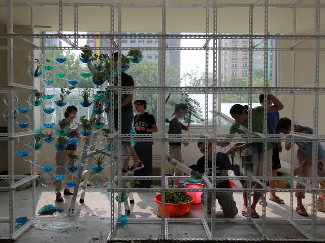 Advancements in Home Glazing: Comfort, Low Maintenance, and Enhanced Safety Features Highlighted