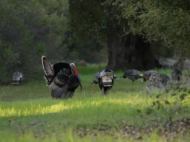 Turkey boosts family-centered initiatives with countless events in 2025