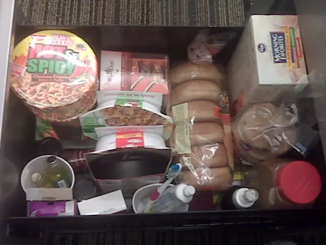 Utilized Daily Without Fail: 22 Items I Can't Live Without