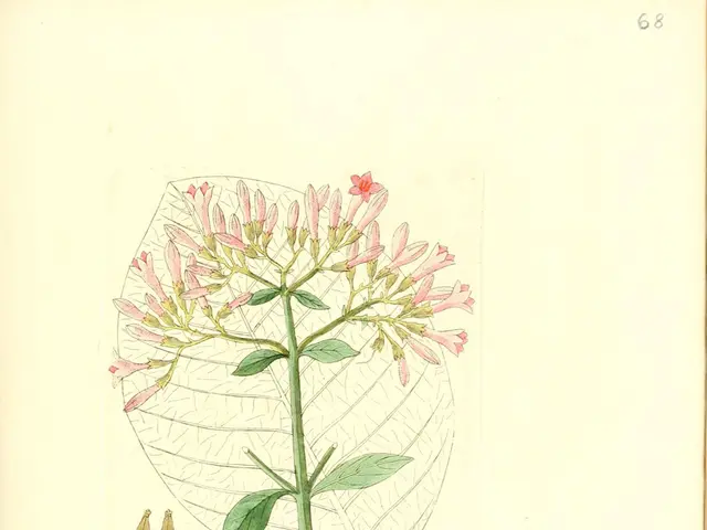 Fresh Fall Crop Cocktail Recipes