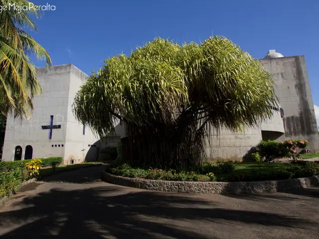 Is obtaining planning permission necessary for constructing a driveway? Experts agree that this...