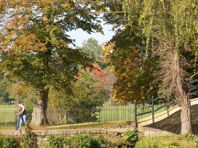 Tranquil and Colorful Escapade Awaits at Adlena Park