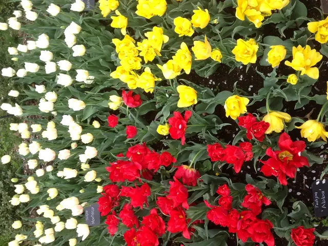 planting job opportunities in May