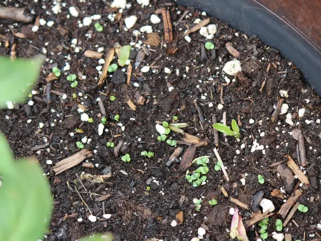 Guiding Garden Compost