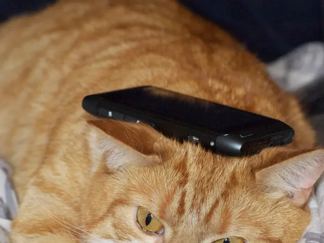 Top-Notch Pet Carriers for Hassle-Free Travel Experiences