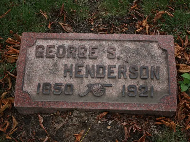 Frequency of Soil Replacement for Thriving Ming Aralia Growth