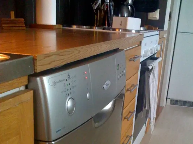 Transformed storage solution for kitchens using magnets is a clever home trick
