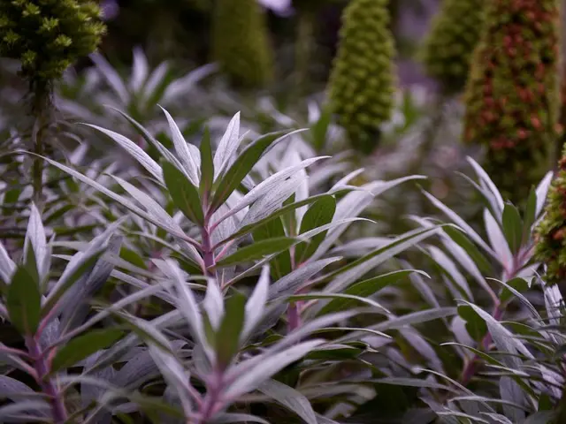 Avoid Pruning These Plants Until Fall: A List of 7 Plants That Should Remain Unpruned During Summer