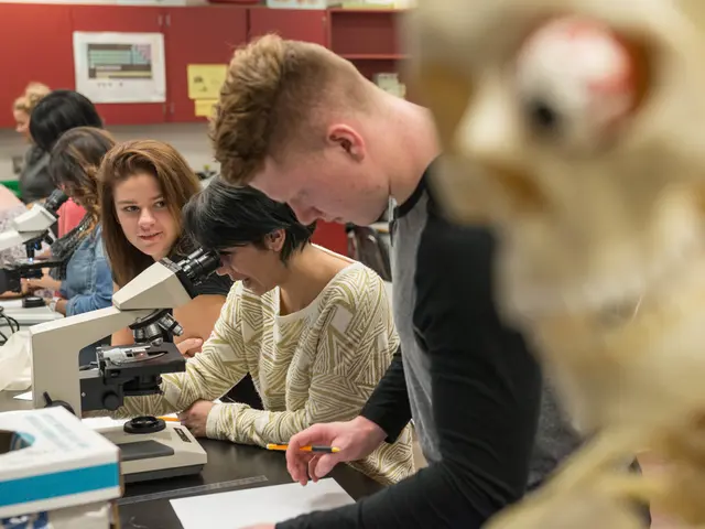 Effortless methods for maintaining a clean and organized home environment within your family