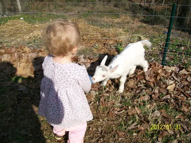 Repeat visit discount at mountain zoo: second time's visit cut in half of original price