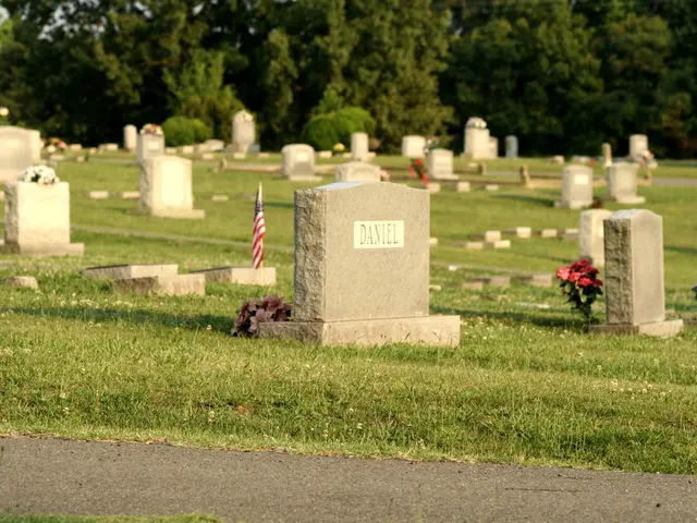 Guided woodland excursions in Gehilfersberg cemetery – Next scheduling on August 25, 2025