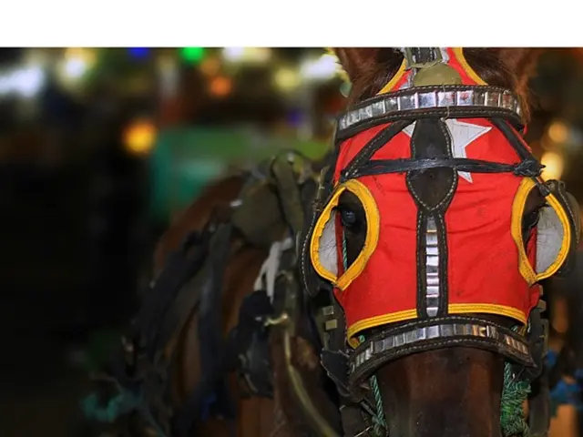 Luxurious Caribbean island mansion, once preferred by Princess Margaret for extravagant gatherings,...