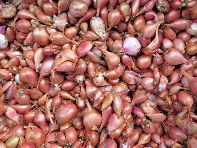 Detailed Tutorial on Cultivating and Storage of Onions: A Complete Guide
