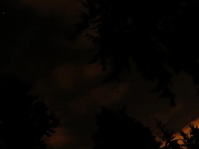 Nighttime Adventures for Summer Vacation: Garden Climbing or Star-Gazing